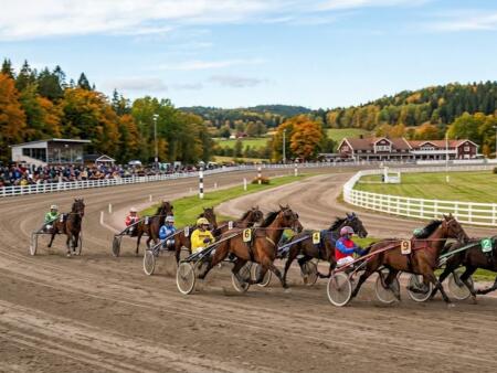 Travsport: En komplett guide till svensk travsport och betting