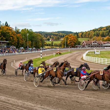 Travsport: En komplett guide till svensk travsport och betting