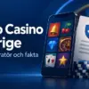 GoGo Casino i Sverige – licens, operatör och fakta om casinot