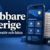 Snabbare i Sverige – licens, operatör och fakta om casinot