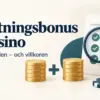 Insättningsbonus på casino – så fungerar den och vad du bör tänka på