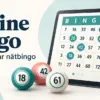 Online bingo – så fungerar nätbingo och olika spelformer