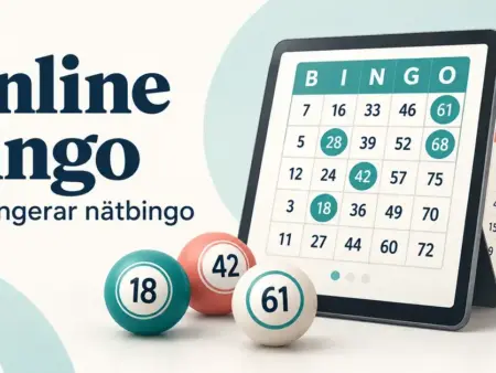 Online bingo – så fungerar nätbingo och olika spelformer