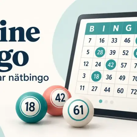 Online bingo – så fungerar nätbingo och olika spelformer