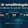 Vad är omsättningskrav? Så räknar du ut kravet på din bonus